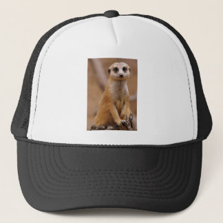 Posing Meerkat Trucker Hat