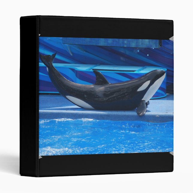 Posing Orca Binder (Front/Spine)