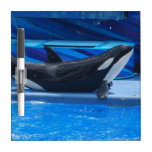 Posing Orca Dry Erase Board