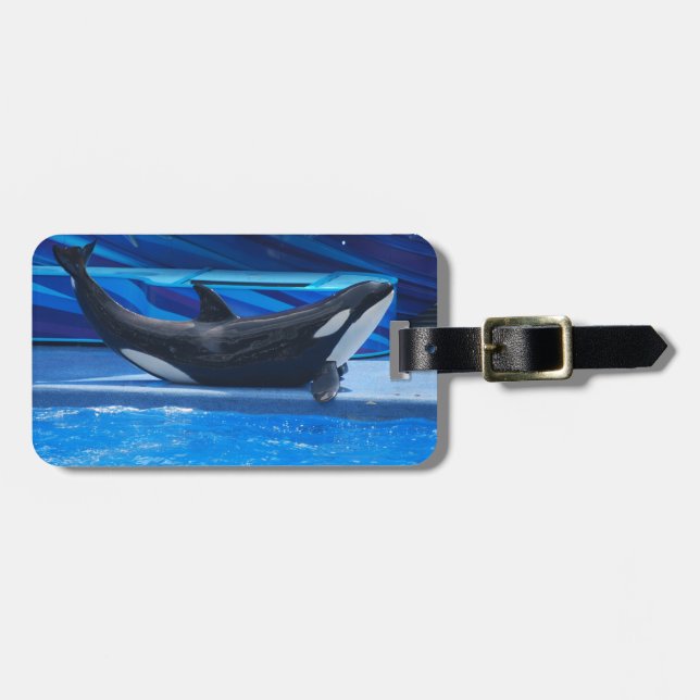 Posing Orca Luggage Tag (Front Horizontal)