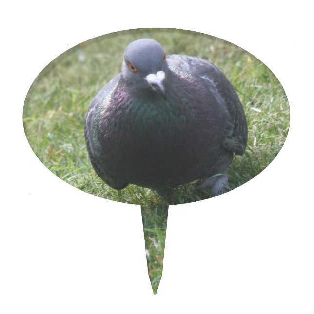 Posing Pigeon Cake Pick (Front)