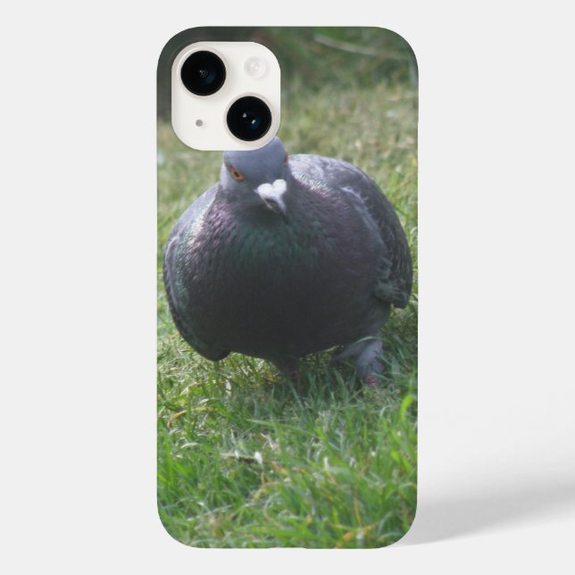 Posing Pigeon Case-Mate iPhone Case (Back)
