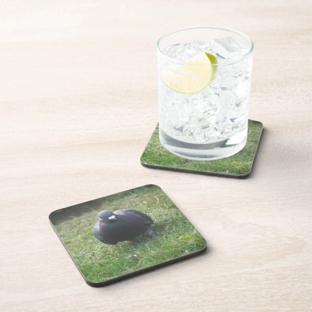 Posing Pigeon Cork Coaster (Right Side)