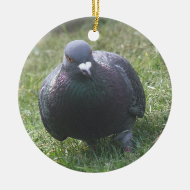 Posing Pigeon Custom Birthday Ceramic Ornament (Front)