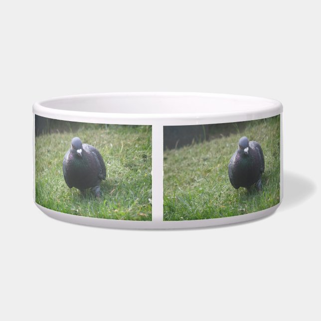 Posing Pigeon Dog Bowl (Back)