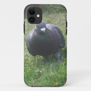 Posing Pigeon iPhone 5 Case