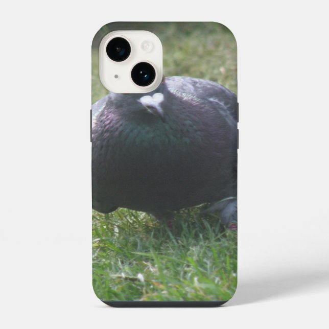 Posing Pigeon Iphone Case (Back)