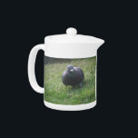 Posing Pigeon Teapot<br><div class="desc">This awesome teapot features a photograph of a wild Pigeon taken in my back garden. The bird was pecking about in the grass looking for seed that had been knocked off a bird feeder. The iridescence of the feathers is clearly visible in the photo.</div>