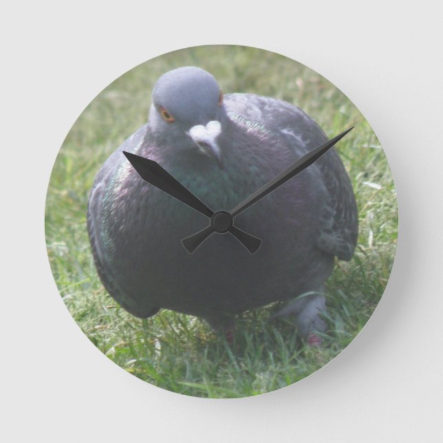 Posing Pigeon Wall Clock (Front)