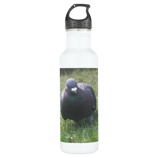 Posing Pigeon Water Bottle (Front)
