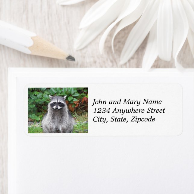 Posing Raccoon Wildlife Address Label (Insitu)