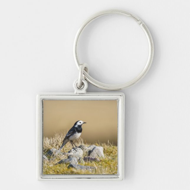 Posing Wagtail Keychain (Front)