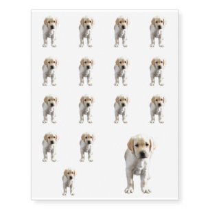 Posing Yellow Lab Temporary Tattoos