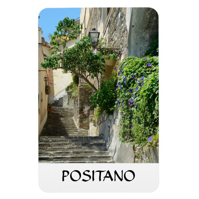 Positano, Italy Magnet (Vertical)