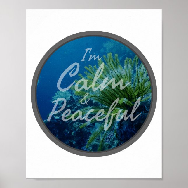 positive affirmations about self acceptance poster (Front)