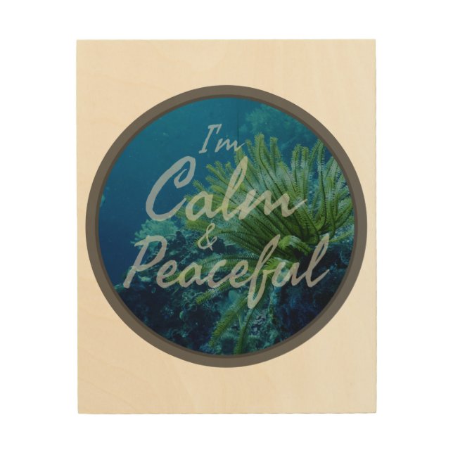 positive affirmations about self acceptance wood wall art (Front)