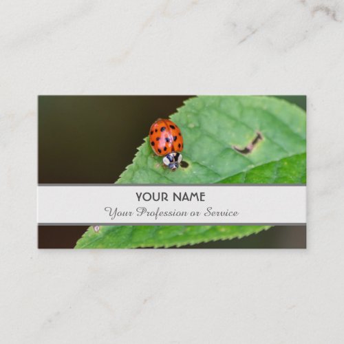 Positive and lucky ladybug for zen and education b business card