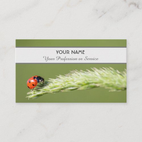 Positive and lucky ladybug for zen and education b business card