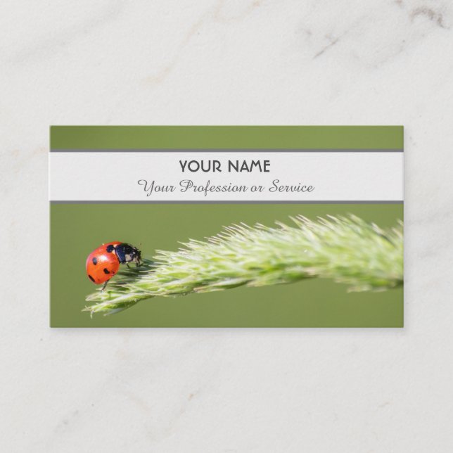 Positive and lucky ladybug for zen and education b business card (Front)