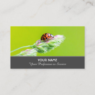 Positive and lucky ladybug for zen and education business card