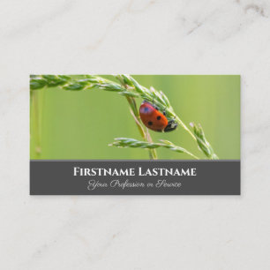 Positive and lucky ladybug for zen and education business card