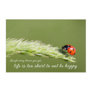 Positive mindset and life attitude little ladybug acrylic print