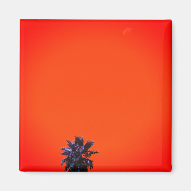 Positive Vibes Tropical Palm Tree Moon Minimalism Magnet (Front)