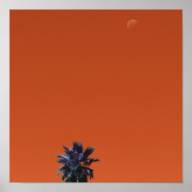 Positive Vibes Tropical Palm Tree Moon Minimalism Poster (Front)