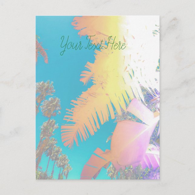 Positive Vibes Tropical Palm Trees Postcard (Front)