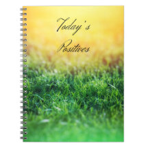 Positivity Journal