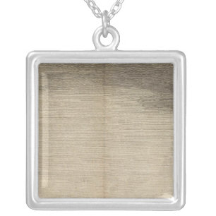 Possession Bay, South Georgia Silver Plated Necklace