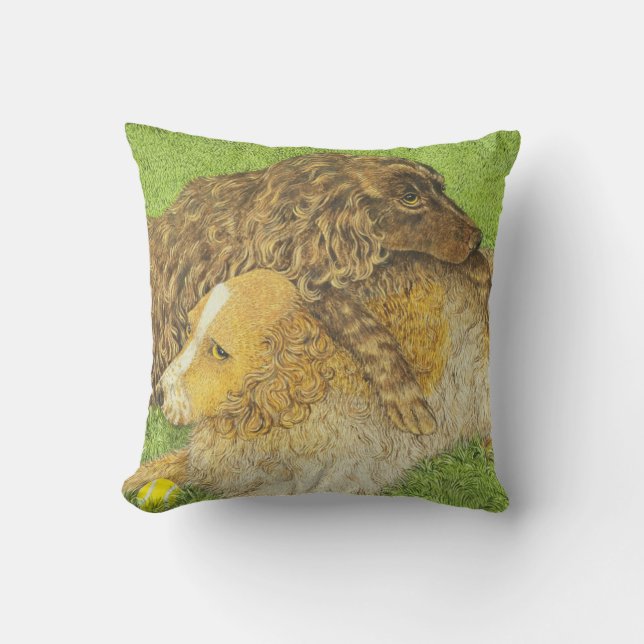 Possession Throw Pillow (Front)