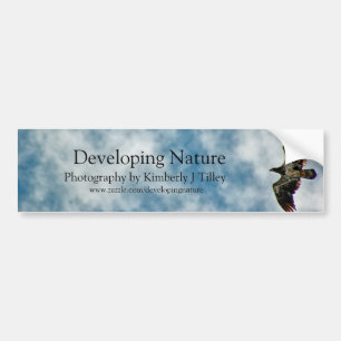 Possibilities Ahead Bumper Sticker
