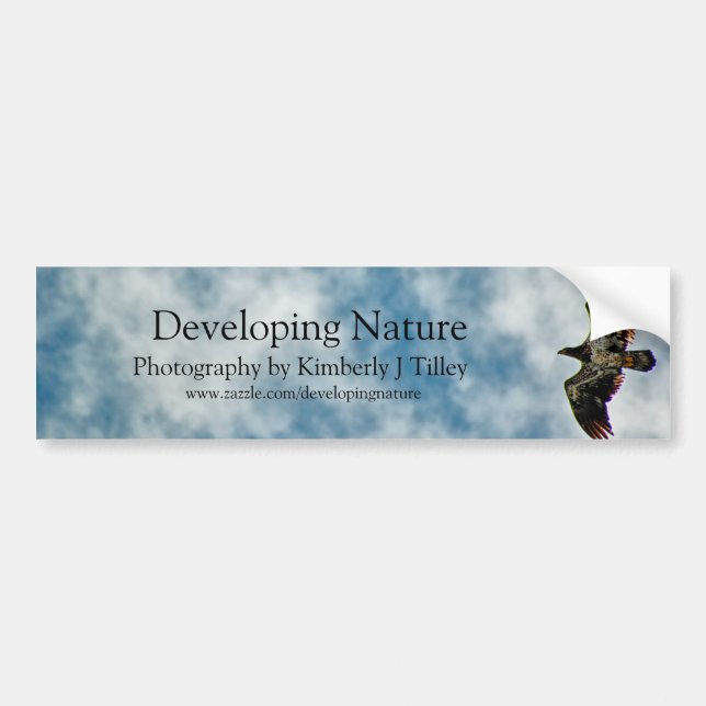 Possibilities Ahead Bumper Sticker (Front)