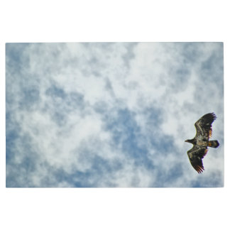 Possibilities Ahead Metal Print