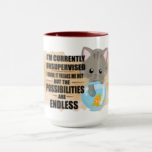 Possibilities Are Endless Naughty  Funny Cute Cat Mug