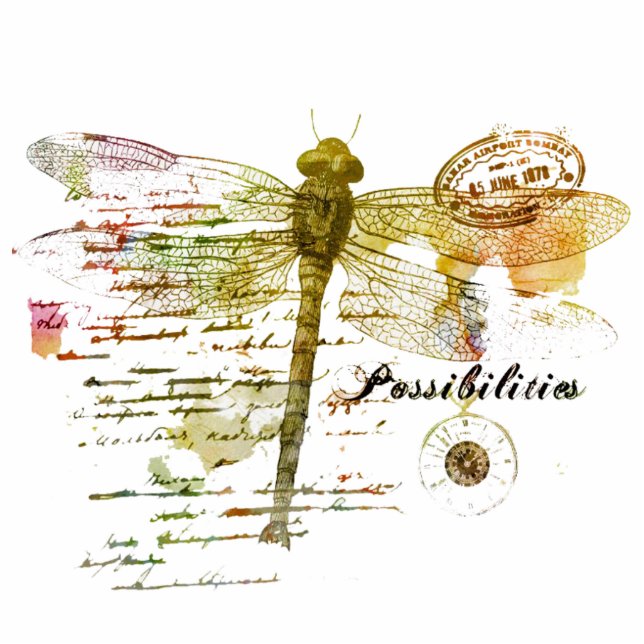 Possibilities dragonfly magnet (Front)
