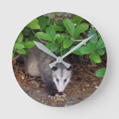 Possum Acrylic Wall Clock