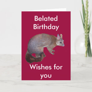 Possum Mom Birthday Cards Funny Gifts For Moms – Liyana Studio