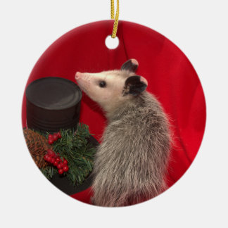 Possum Christmas Ornament