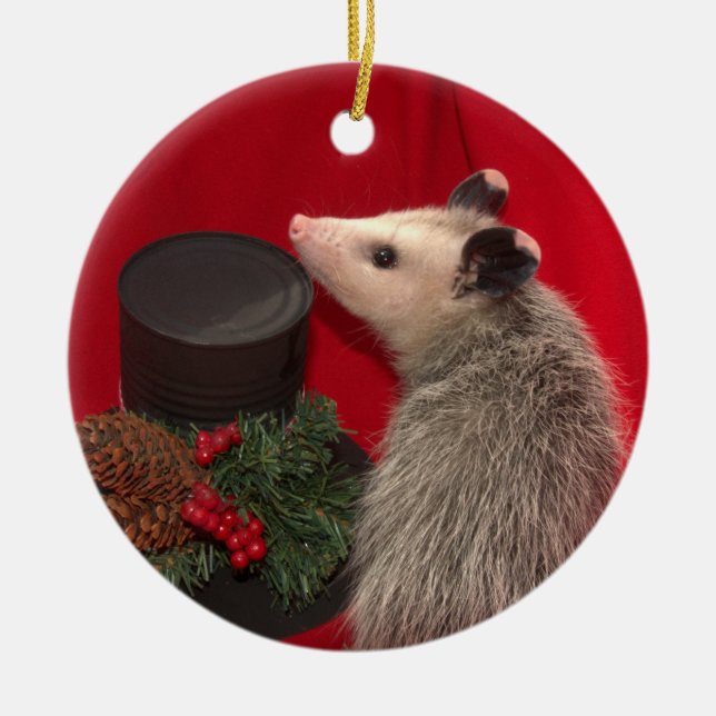 Possum Christmas Ornament.. One of a Kind !!! Ceramic Ornament (Front)