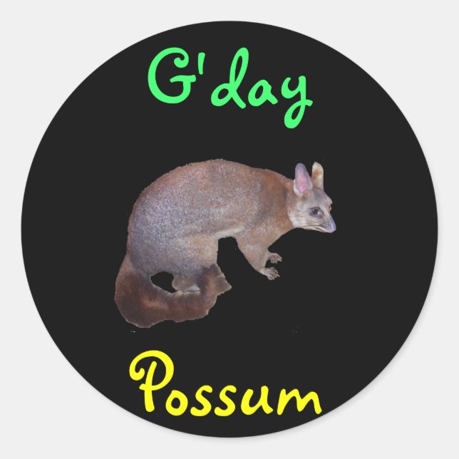 Possum Classic Round Sticker (Front)