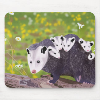 Possum family mouse pad