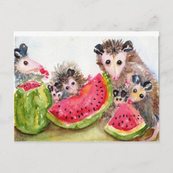 Possum Family Picnic Postcard by sharonfosterart at Zazzle