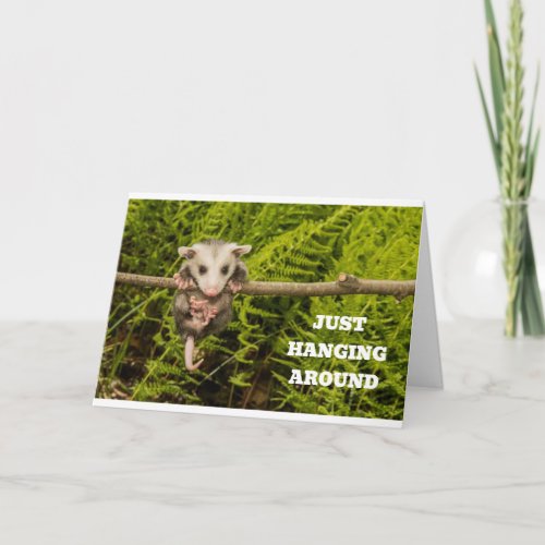 POSSUM HUMOR FOR YOUR BIRTHDAY CARD