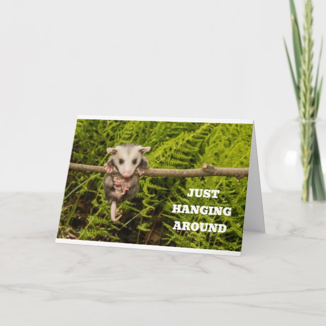 POSSUM HUMOR FOR "YOUR" BIRTHDAY CARD (Front)