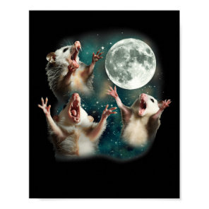 Possum Moon 3 Opossum Funny Weird Cursed Meme  Poster