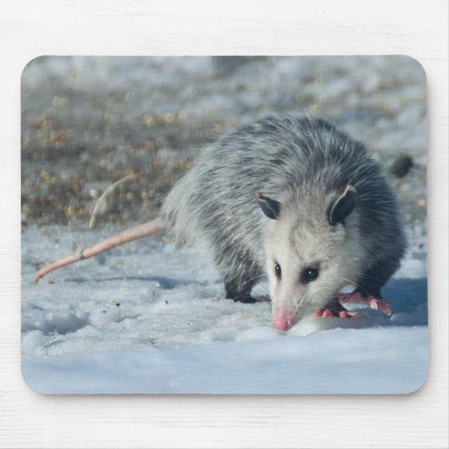 Possum Mousepad (Front)