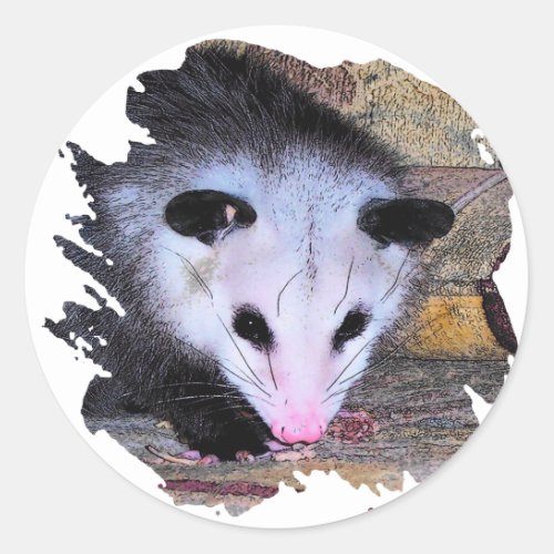 Possum Opossum Classic Round Sticker
