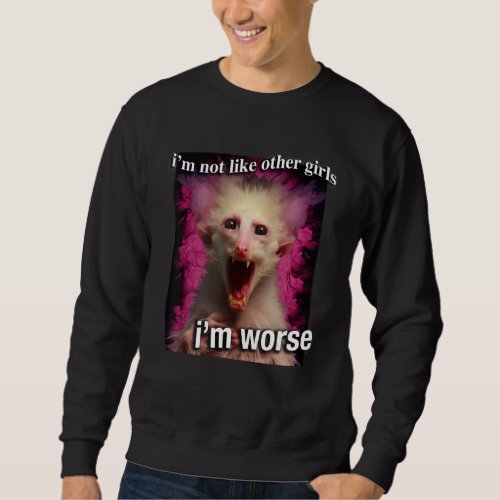 Possum Opossum Iu2019m not like other girls Iu2019 Sweatshirt